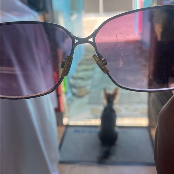 Steve Madden Purple Tinted Sunglasses - Picture 7 of 7